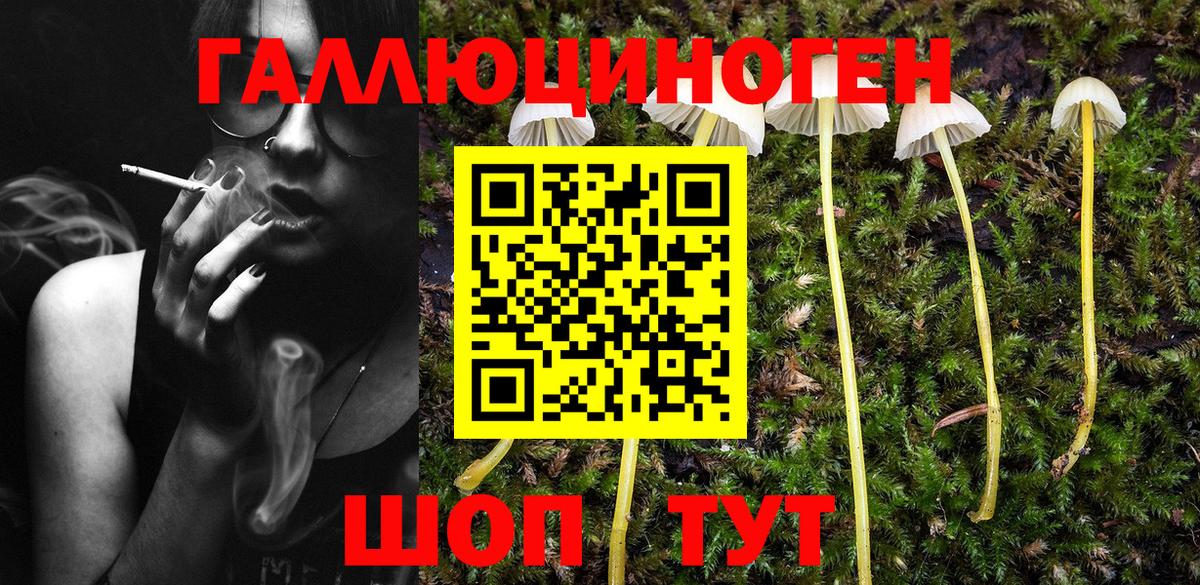 Псилоцибиновые грибы Psilocybe  Вход с VPN  Реутов 