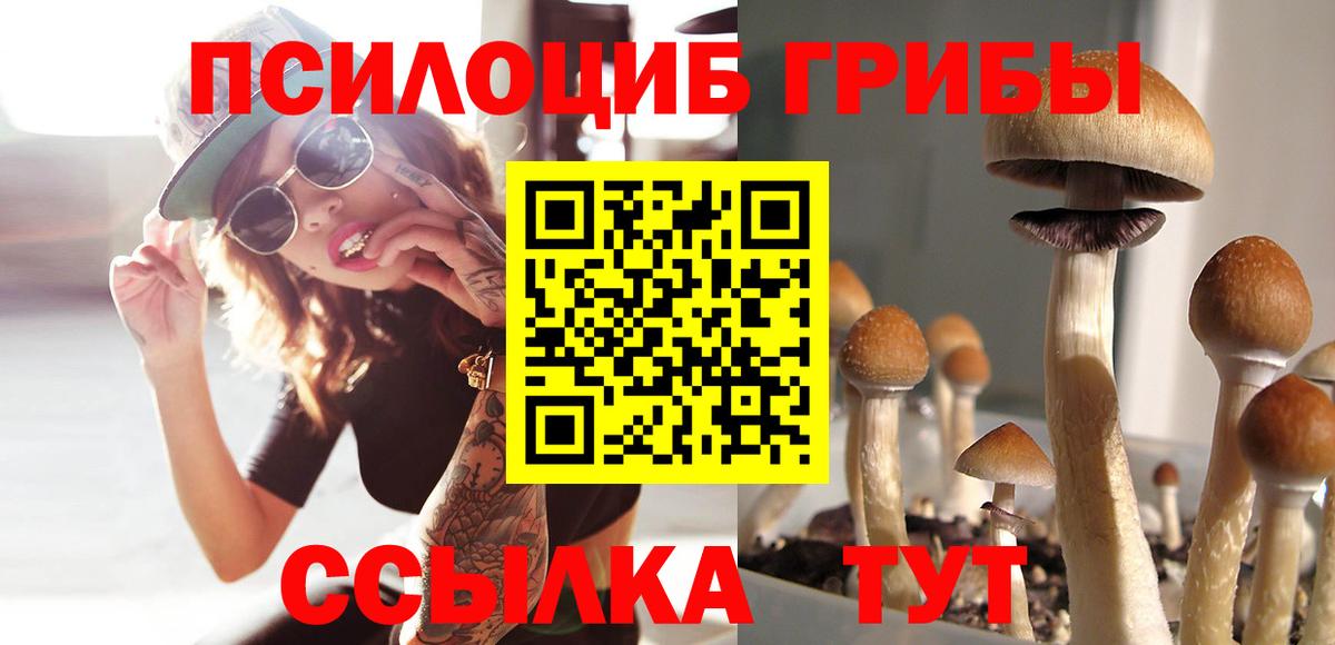 Псилоцибиновые грибы мицелий Реутов